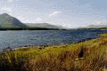 img2.gif