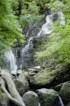 img5.gif